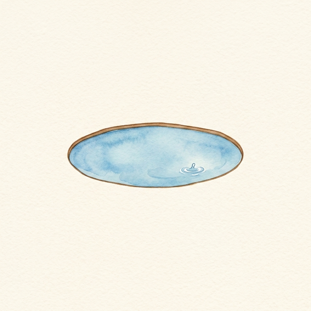 A simple picture of lake