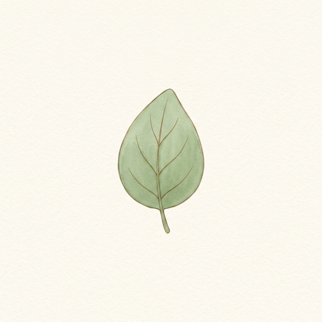 A simple picture of leaf