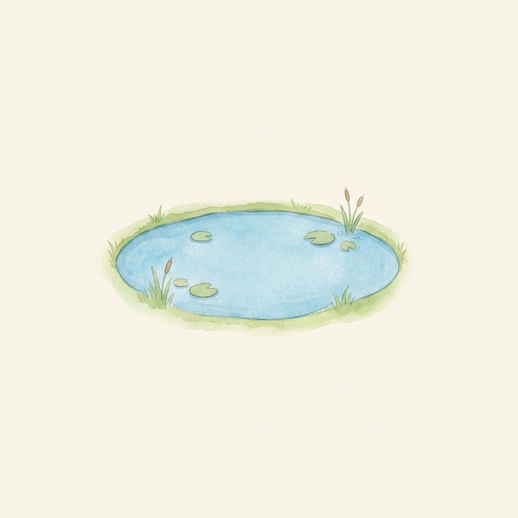 A simple picture of pond