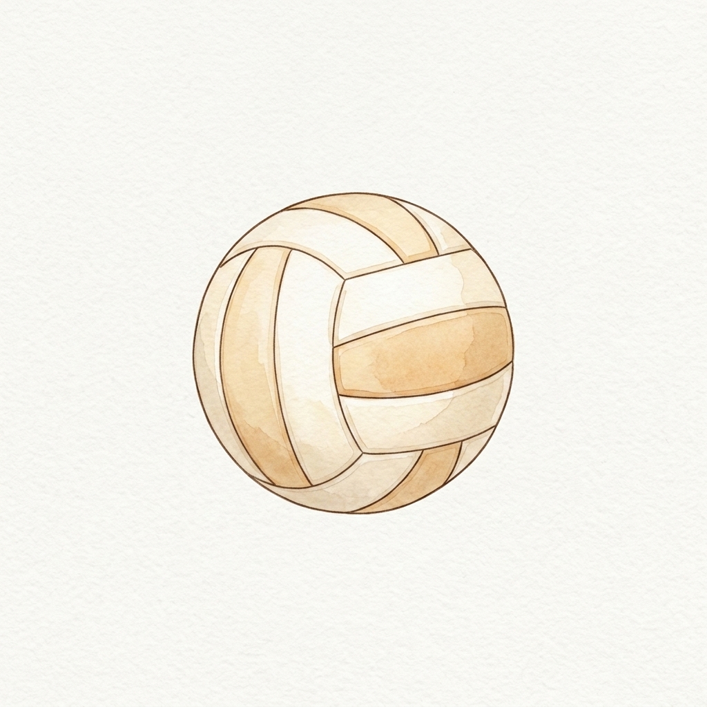 A simple picture of volleyball